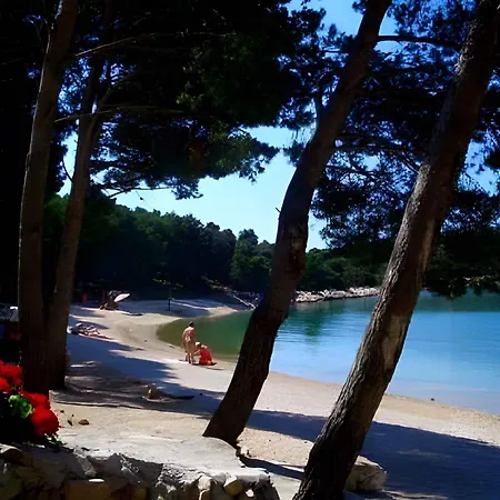 Holiday Drage/biograd Riviera 39728 드라게